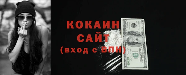 гидра Киреевск