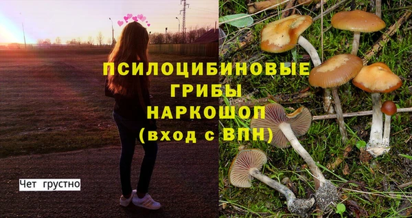 гидра Киреевск