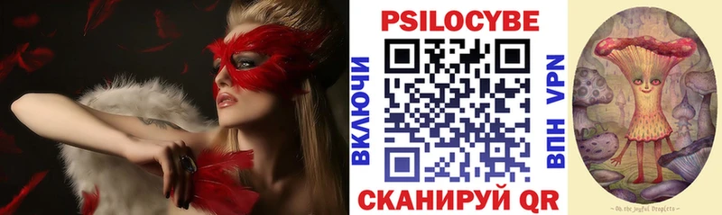 Купить закладки  Тосно  Псилоцибиновые грибы мухоморы 